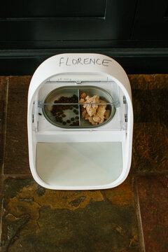 A cat feeder that has a lid that is controlled by the cat's microchip