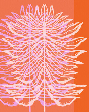 Abstract Botanical Illustration In Bright Coral And Pink