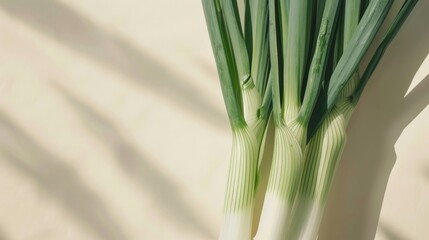 Fresh green spring onion bunch isolated on beige background.