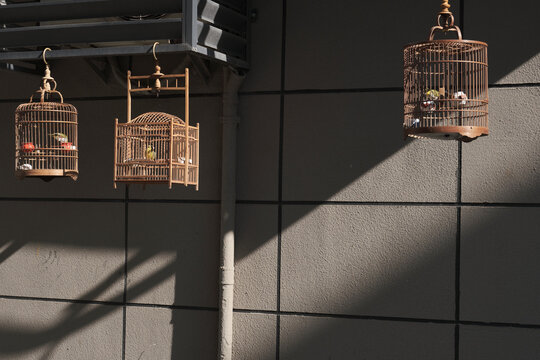 Bird cages and birds hanging in the corridor to bask in the sunny
