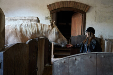 Woman Feeding Horse in Stable