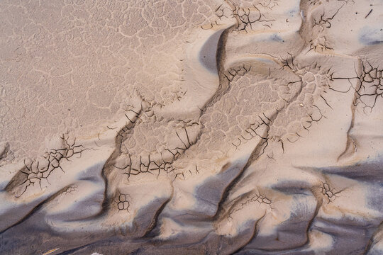 Cracks in Mud in New Mexico, United States