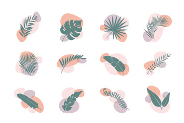 Floral abstract elements. Tropical Botanical composition. 