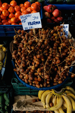 Dates on a branch