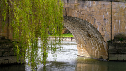 Scenic view of stone arch bridge with weeping willow trees over the River Thames in Oxfordshire,...