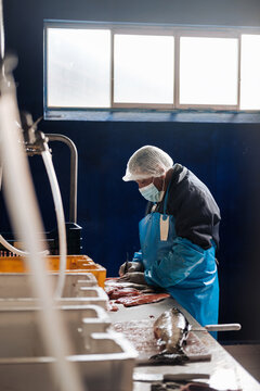 fish food processing plant