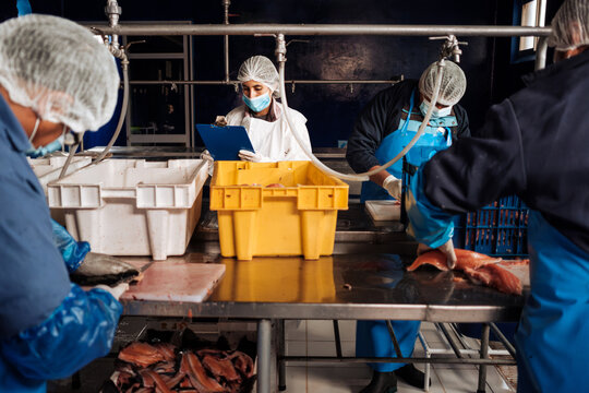 fish processing workshop