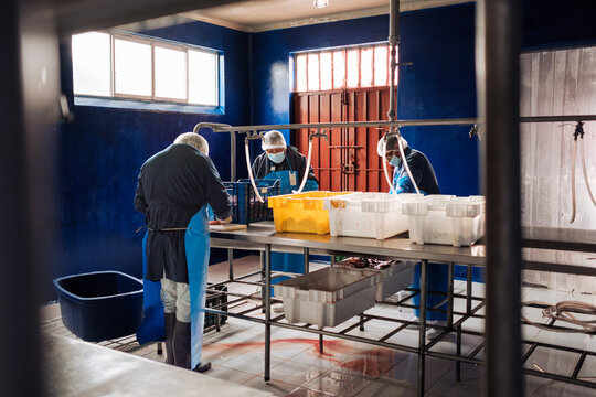 fish processing workshop