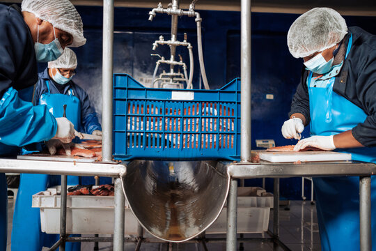 fish processing plant