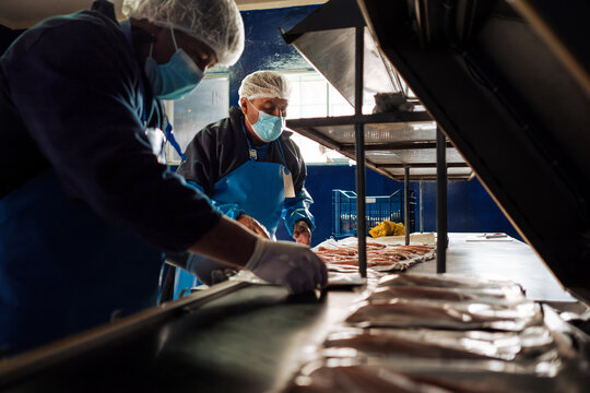Employees Packing fish fillets