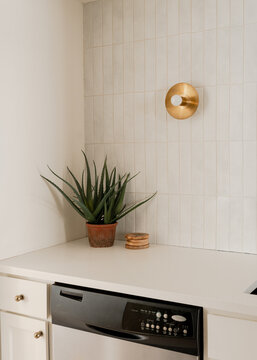 Minimal, Modern Kitchen in Soft Light