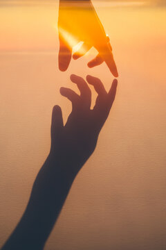 Hand in Sunlight