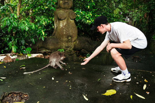 Boy Interacts With Monkey in Forest