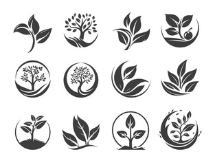 Set of ecology and botanical logo elements, eco floral design symbols