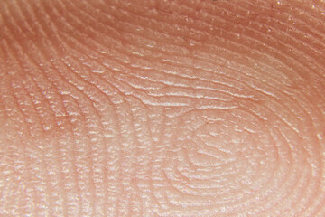Fingerprint Unique Identification Of People