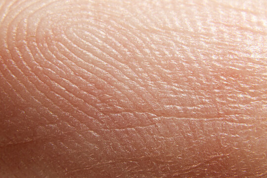 Human Unique Finger Identification 