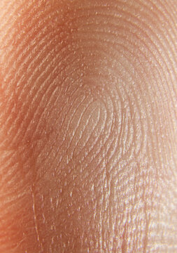 Individual Fingerprint Skin Texture 