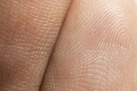 Hand Fingers Texture Close-up