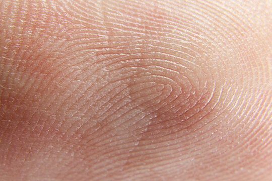 Fingerprint Macro PatternTexture
