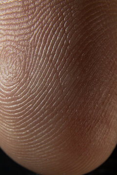 Finger Skin Macro Texture