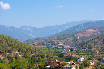 A lot of tiny houses in fir tree woods and lanscape with rocky foggy mountains in summertime, blue sky and daytime sunlight