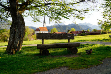 a serene and peaceful alpine scenery with a rustic wooden bench on a sunny spring day in the Bavarian village Schwangau in the Bavarian Alps, Bavaria, Germany	