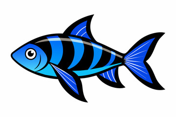 Fototapeta premium A blue eyed rainbow fish silhouette black vector artwork illustration