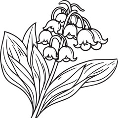 Lily of the Valley vector elements summer collection, hand-painted Allamanda cathartica coloring pages, vector sketch, pencil art Lily of the Valley flower, vintage floral design wildflowers