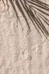 Palm tree leaves sunlight shadow silhouette on neutral beige sand texture background, summer vacation and relax backdrop