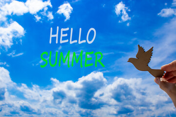 Hello summer symbol. Concept words Hello summer on beautiful sky. Beautiful blue sky cloud background. Businessman hand with wooden bird. Business lifestyle Hello summer concept. Copy space.