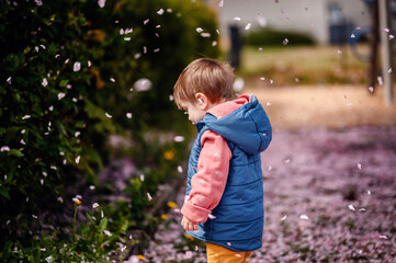 A young toddler in a blue vest and pink sweater marvels at the falling cherry blossom petals in a park, surrounded by lush greenery and seasonal beauty.