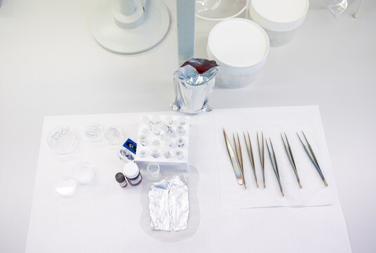 Lab Tools Prepared For Sample Analysis