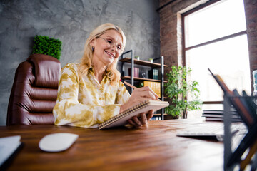 Photo portrait of lovely mature woman write notebook ideas dressed stylish shirt office day light...