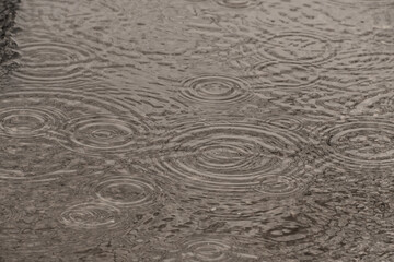 Raindrops on puddle.
