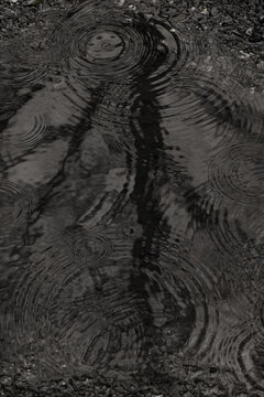 Raindrops on puddle.