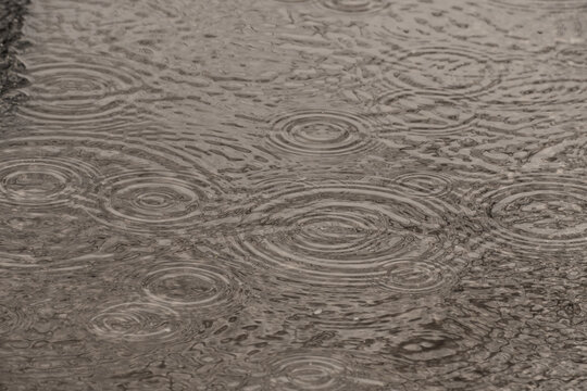 Raindrops on puddle.