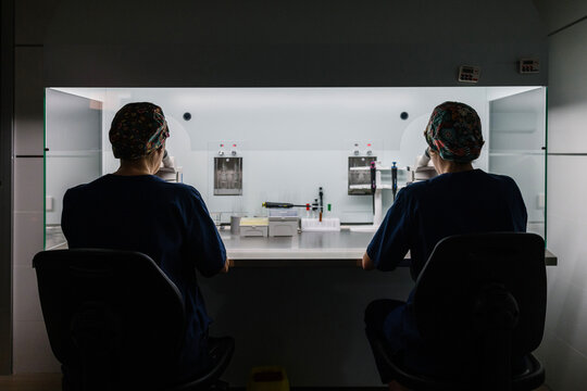 Two healthcare biologist in a laboratory setting
