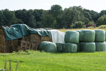 hay bales in plastic near a farm 