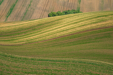 Late summer in the South Moravia