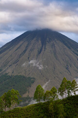 Fototapeta premium Inerie volcano on Flores island in Indonesia.