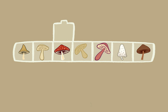 Mushrooms microdosing