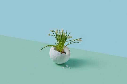 Vase in form of broken egg shell with delicate flowers growing inside