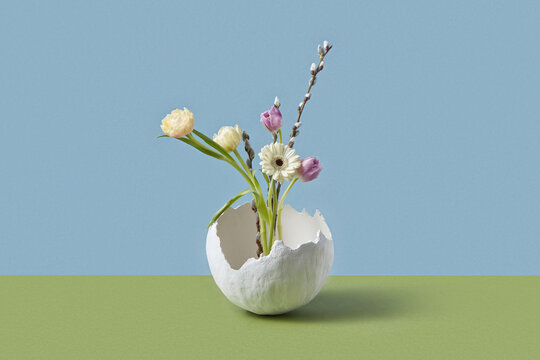 Blossoming flowers growing out broken egg shell isolated in studio