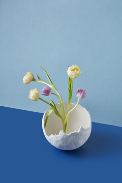 Branches of blooming plants in creative egg shell vase 