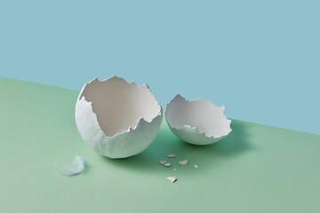Empty broken egg laying on green surface next to white feather