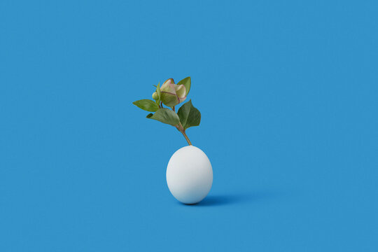Fresh herb with developing bud sticking out white hen eggshell