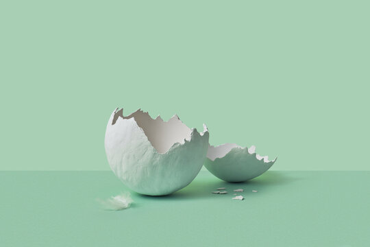 Gypsum eggshell cracked to two halves isolated on green background
