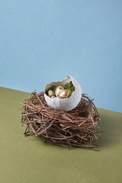 Golden eggs laying in cracked egg on tree branches folded into nest