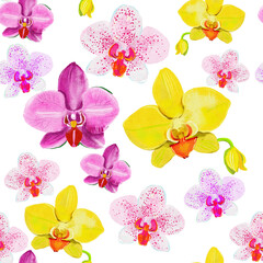 seamless background with flowers and butterflies. hand drawn orchids. 
