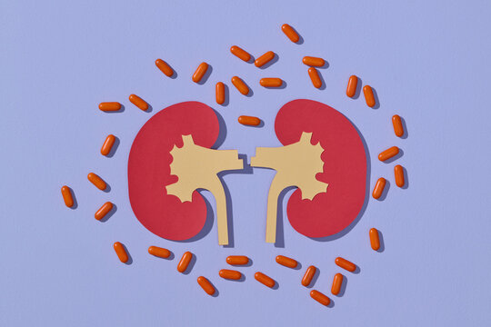 Paper cutout of kidneys and pills on purple background, flat lay